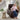Golden Tech PR511 MaxiComfort Cloud+ Assisted Lift Recliner