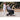Rollz Motion Electric 3-in-1 Rollator, Transport Chair & Electric Wheelchair