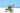 All-Terrain Beach Stroller – DeBug Baby Bug Sand Jogger with Balloon Wheels
