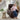 Golden Tech PR511 MaxiComfort Cloud+ Assisted Lift Recliner