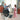 Invacare Roze Premier Series Stand-Up Lift – Electric Sit-to-Stand Patient Transfer Lift