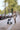Rollz Flex 2 Lightweight Rollator – Premium Folding Rollator Walker with Seat & XL Shopping Bag
