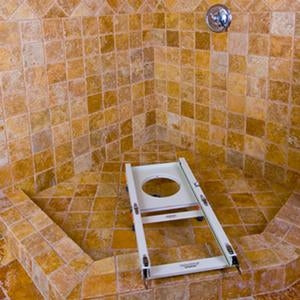 Showerbuddy Transfer System