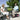 Pride Mobility Go-Go Elite Traveller 3-Wheel Scooter – Lightweight Travel Mobility Scooter