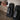 Aircast VenaGo Portable DVT System | Wireless Tubeless Compression | DJO VenaGo - Medical Department Store