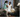 Joerns UltraCare XT Hospital Bed Hi Low Adjustable Bed 650 lb - Medical Department Store