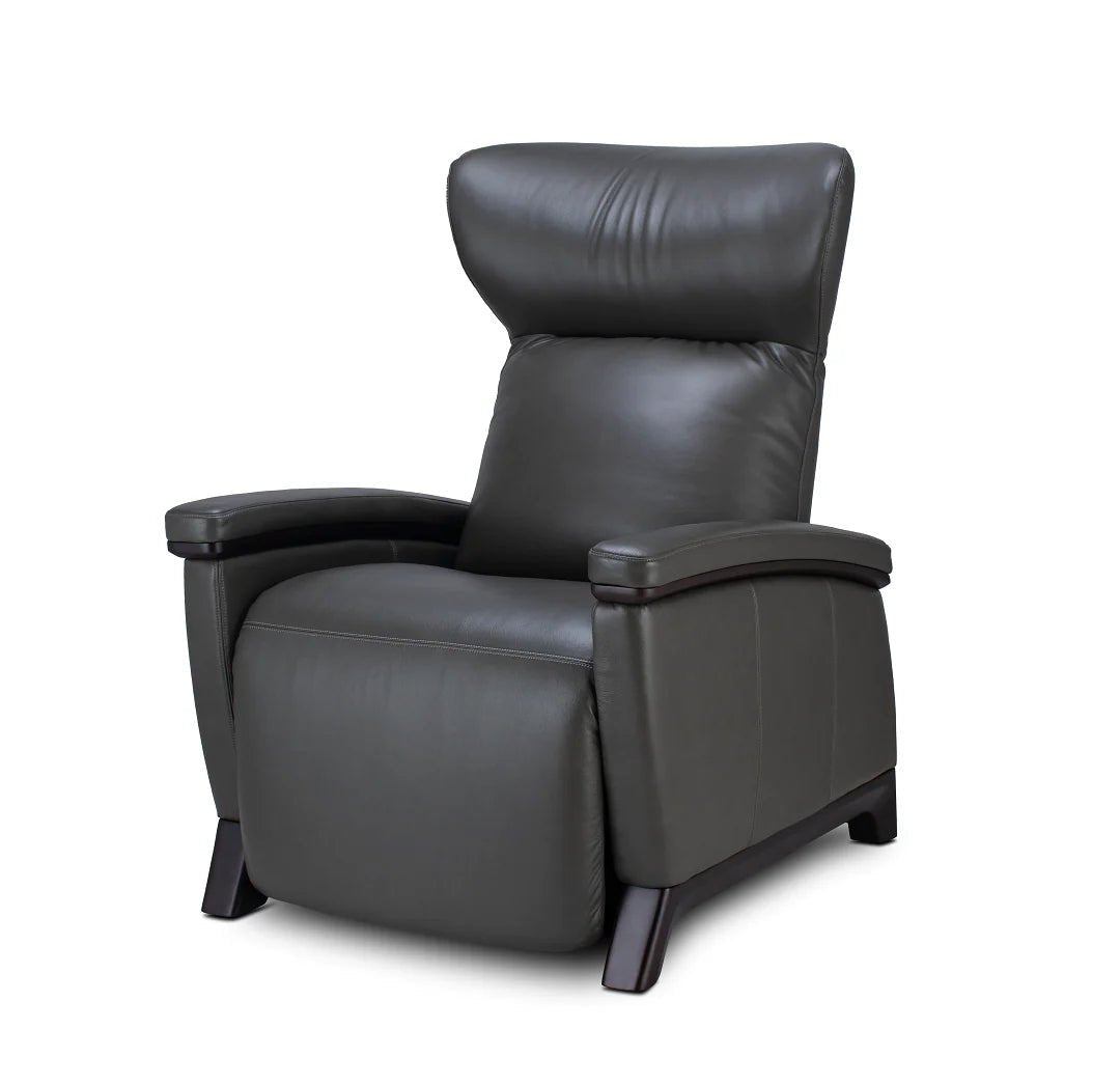 Svago Motion Mastery Zero Gravity Lounge Chair - Medical Department Store